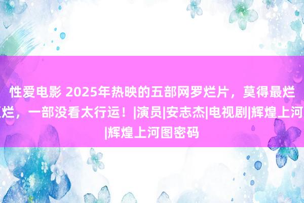 性爱电影 2025年热映的五部网罗烂片，莫得最烂只须更烂，一部没看太行运！|演员|安志杰|电视剧|辉煌上河图密码