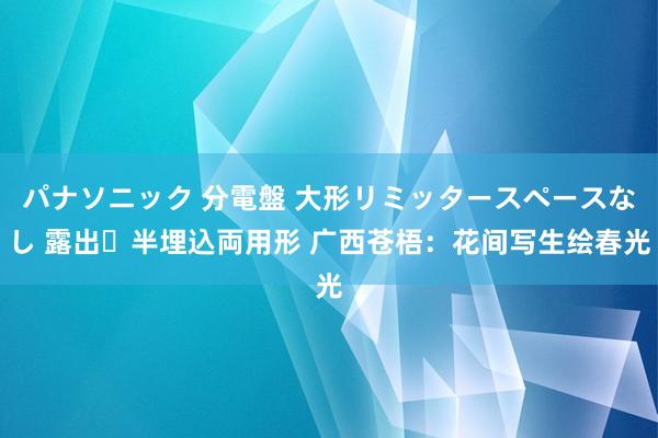 パナソニック 分電盤 大形リミッタースペースなし 露出・半埋込両用形 广西苍梧:花间写生绘春光