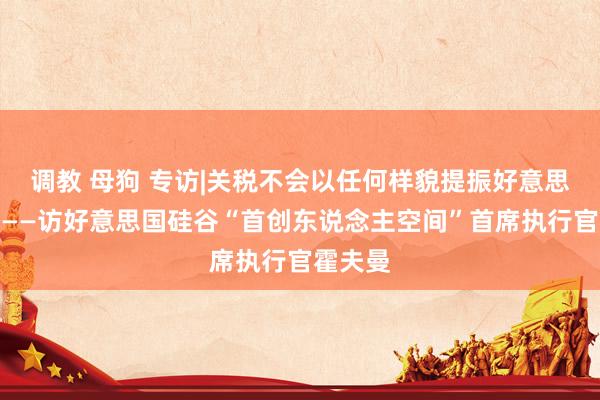 调教 母狗 专访|关税不会以任何样貌提振好意思国经济——访好意思国硅谷“首创东说念主空间”首席执行官霍夫曼